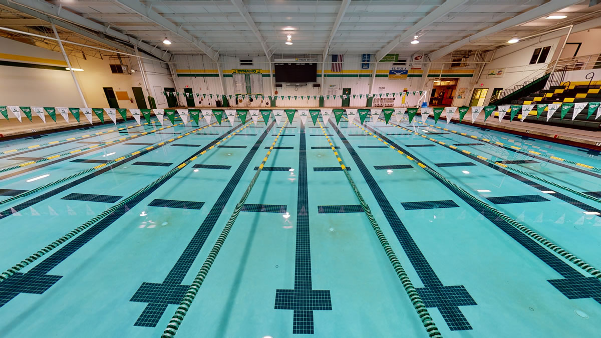 Dynamo-Chamblee-Pool-Seed-View
